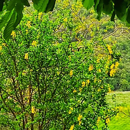 Ca' Paradiso - Natura E Relax Проживание в семье *