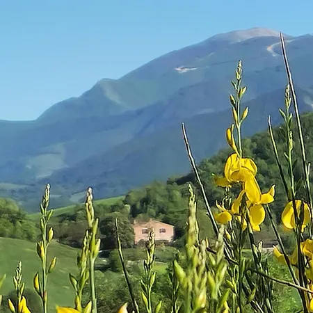 Ca' Paradiso - Natura E Relax Проживание в семье Smirra