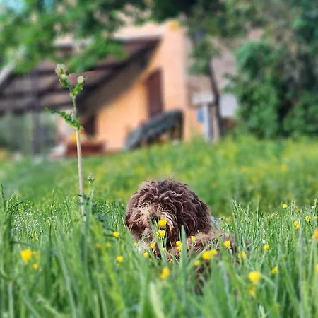 Homestay Ca' Paradiso - Natura E Relax Smirra