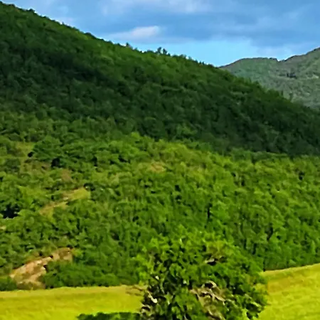 Ca' Paradiso - Natura E Relax * Smirra