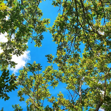 Ca' Paradiso - Natura E Relax Проживание в семье *