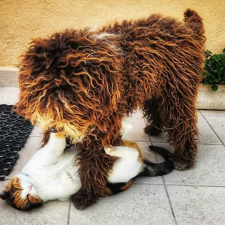 Ca' Paradiso - Natura E Relax * Smirra