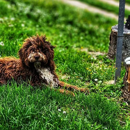 Ca' Paradiso - Natura E Relax *