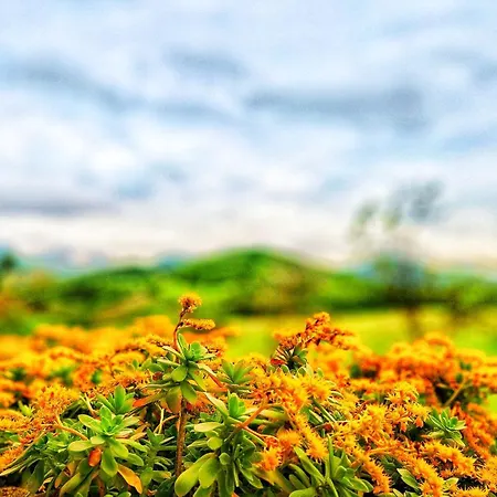 Privatunterkunft Ca' Paradiso - Natura E Relax